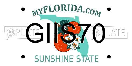 GIIS70 Florida License Plate