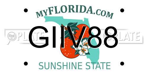 GIIV88 Florida License Plate
