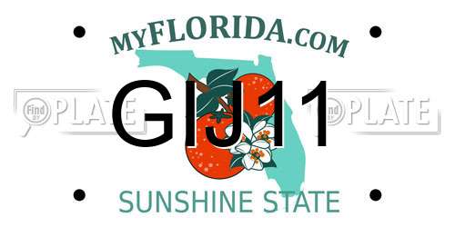 GIJ11 Florida License Plate