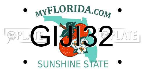 GIJI32 Florida License Plate