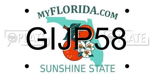 GIJP58 Florida License Plate
