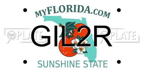 GIL2R Florida License Plate