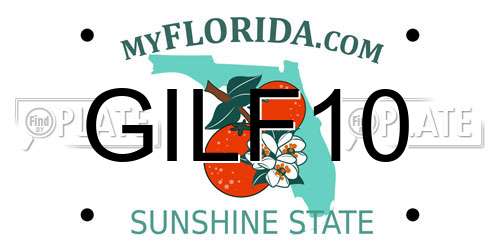 GILF10 Florida License Plate