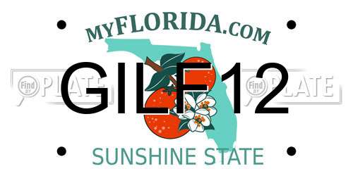 GILF12 Florida License Plate