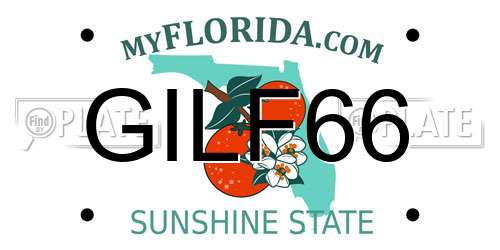 GILF66 Florida License Plate