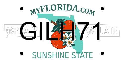 GILH71 Florida License Plate