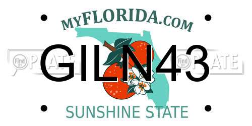 GILN43 Florida License Plate
