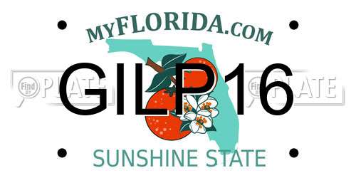 GILP16 Florida License Plate