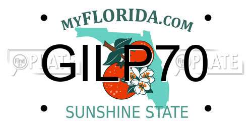 GILP70 Florida License Plate