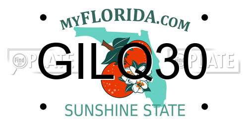 GILQ30 Florida License Plate