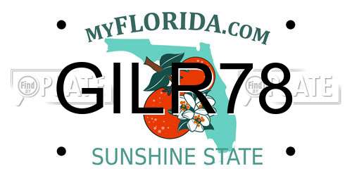 GILR78 Florida License Plate