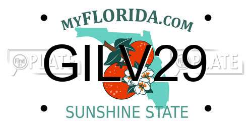 GILV29 Florida License Plate