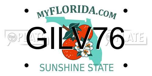 GILV76 Florida License Plate