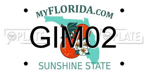 GIM02 Florida License Plate
