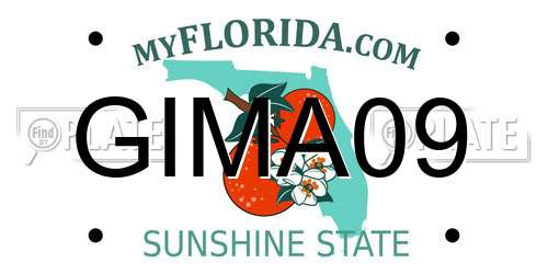 GIMA09 Florida License Plate