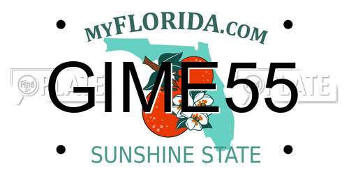 GIME55 Florida License Plate