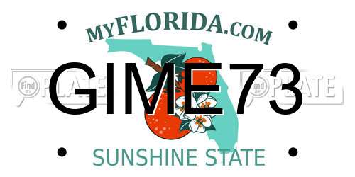 GIME73 Florida License Plate
