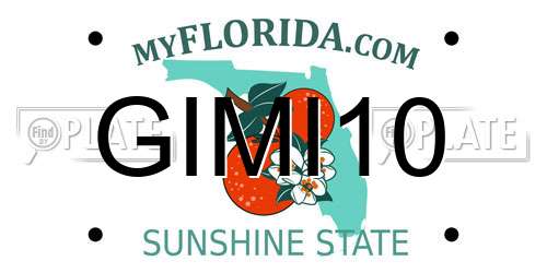 GIMI10 Florida License Plate