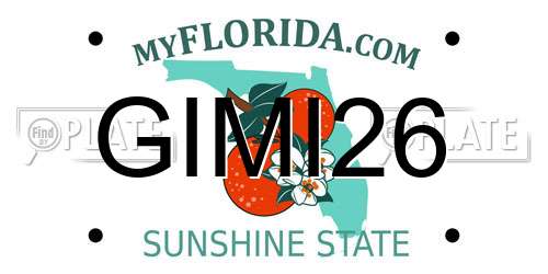 GIMI26 Florida License Plate