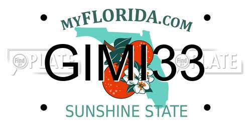 GIMI33 Florida License Plate