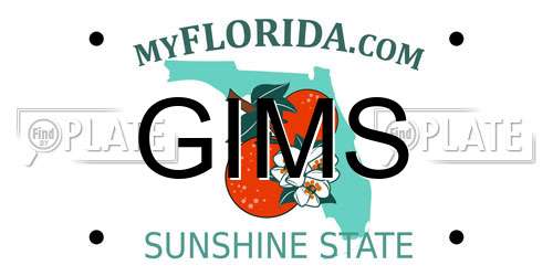 GIMS Florida License Plate