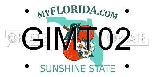 GIMT02 Florida License Plate