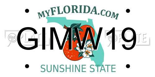 GIMW19 Florida License Plate