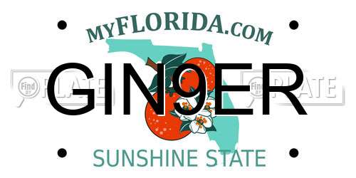GIN9ER Florida License Plate
