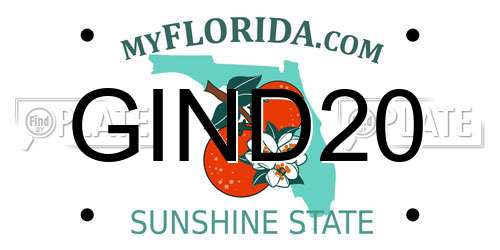 GIND20 Florida License Plate