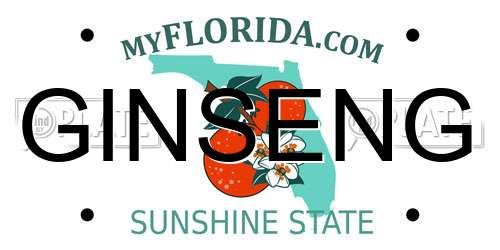 GINSENG Florida License Plate