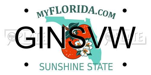 GINSVW Florida License Plate
