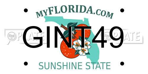 GINT49 Florida License Plate
