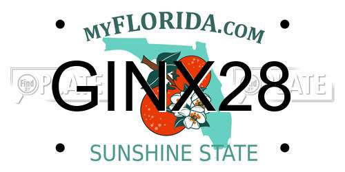 GINX28 Florida License Plate