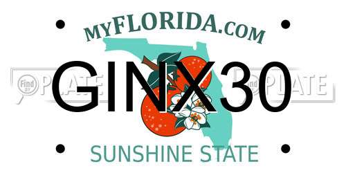 GINX30 Florida License Plate