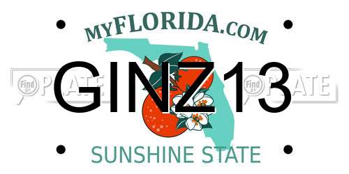 GINZ13 Florida License Plate