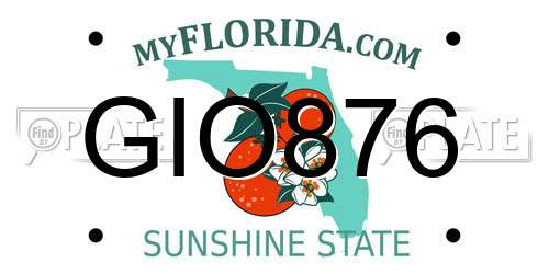 GIO876 Florida License Plate