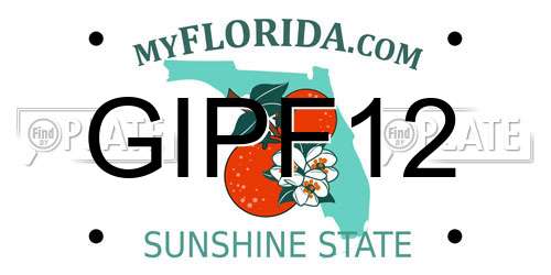 GIPF12 Florida License Plate