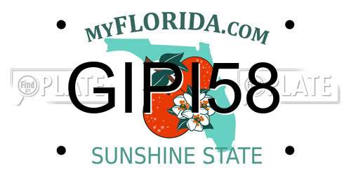 GIPI58 Florida License Plate