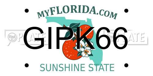 GIPK66 Florida License Plate