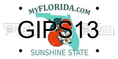 GIPS13 Florida License Plate