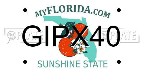 GIPX40 Florida License Plate