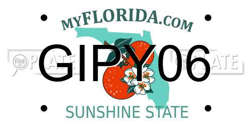GIPY06 Florida License Plate