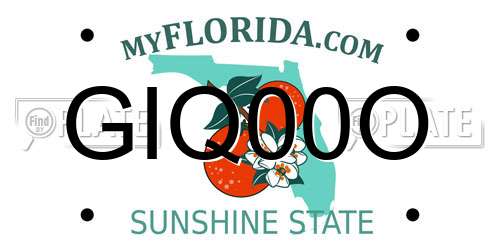 GIQ00O Florida License Plate