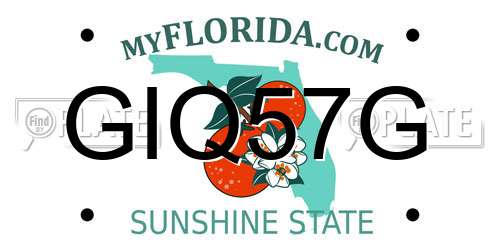 GIQ57G Florida License Plate