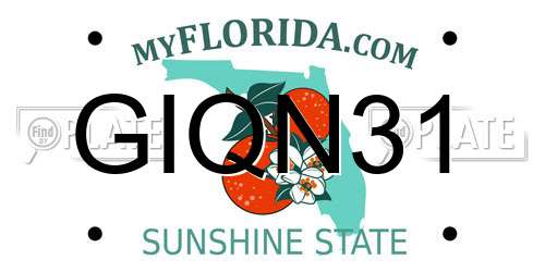 GIQN31 Florida License Plate