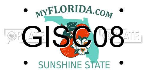 GISC08 Florida License Plate
