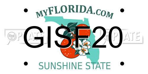 GISF20 Florida License Plate