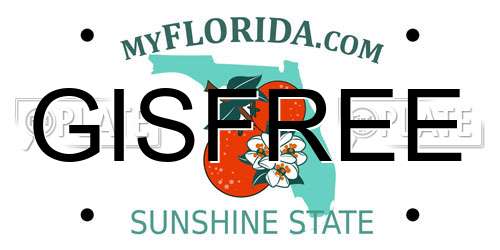 GISFREE Florida License Plate