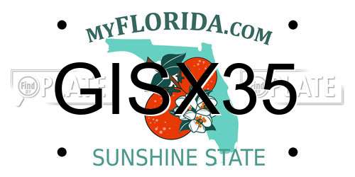 GISX35 Florida License Plate
