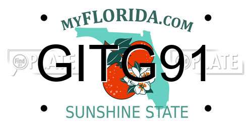 GITG91 Florida License Plate
